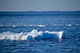 xpeditionskreuzfahrt im nahezu unzugänglichen Weddell-Meer auf der Suche nach den majestätischen Kaiserpinguinen